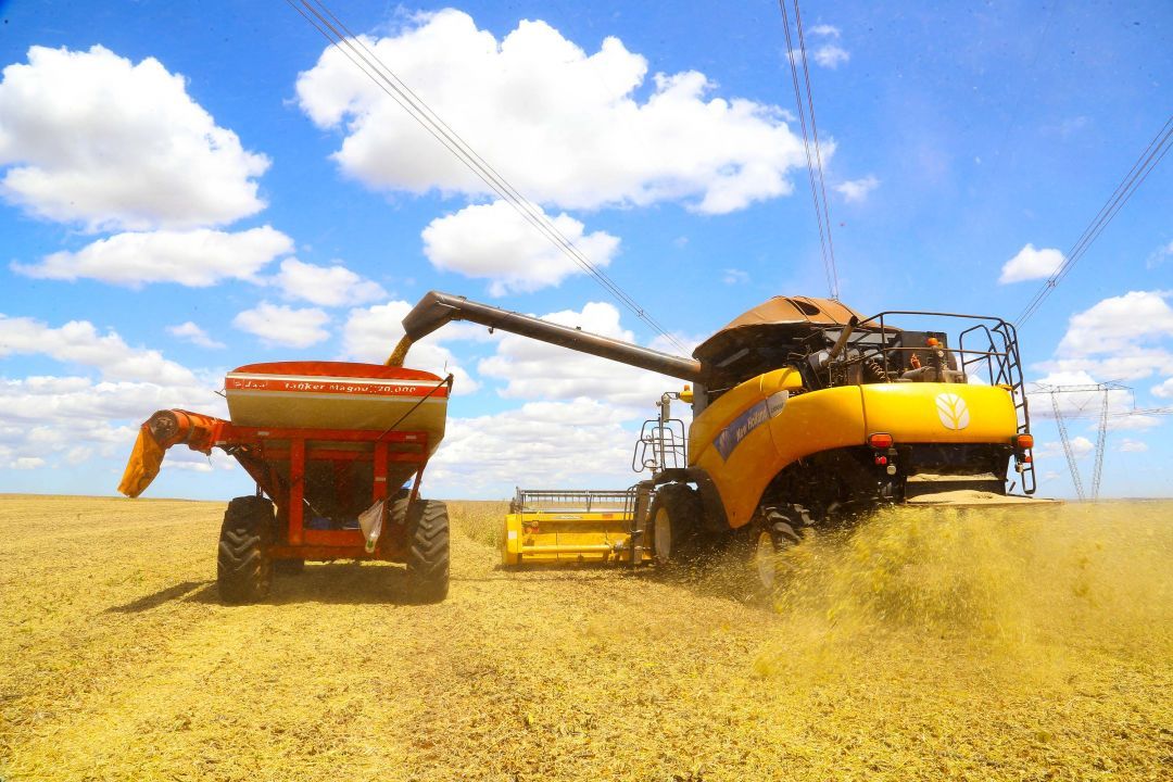 Safra atual deve ser 5% menor do que a de 2023