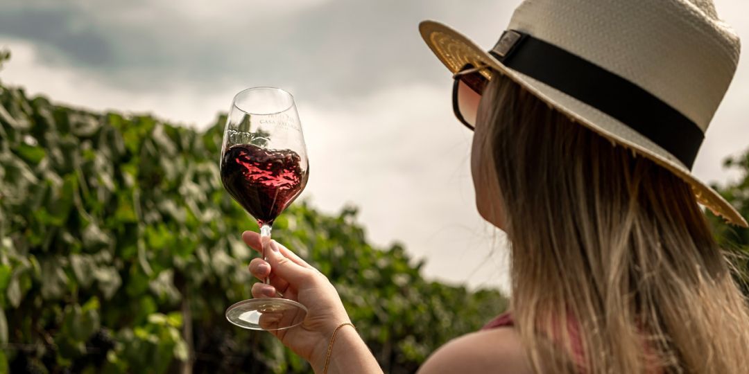 Consevitis-RS e Sebrae lançam projeto para fortalecer a vitivinicultura brasileira