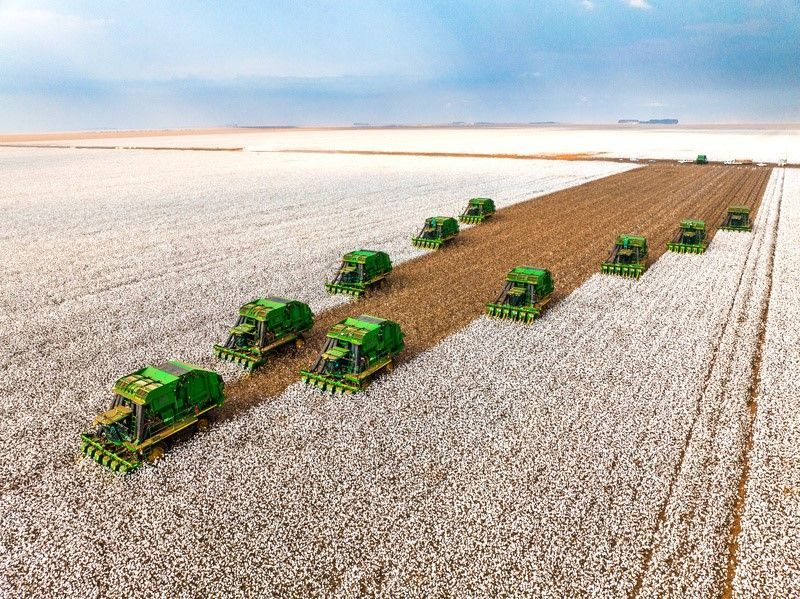 SLC Agrícola soma receita de R$ 5 bilhões até setembro