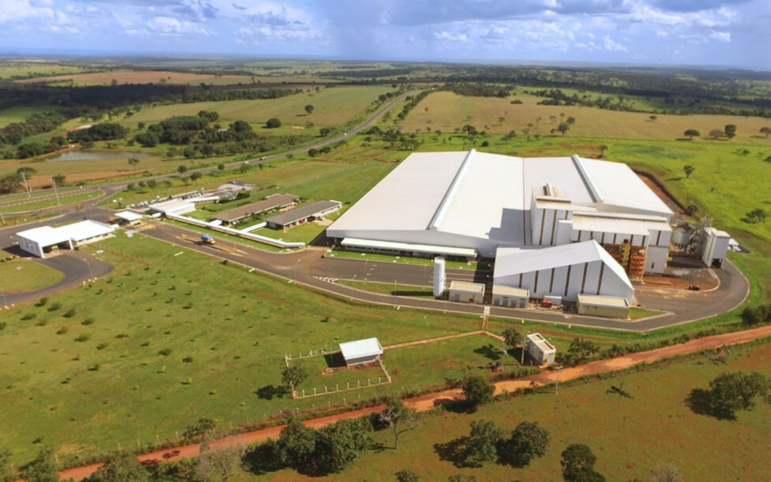Cooperativa C.Vale passará a produzir sementes de soja em Goiás