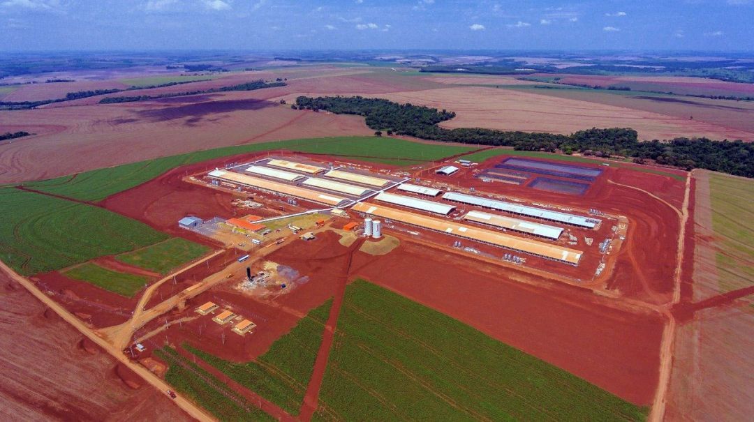 BNDES aprova financiamentos para Copacol e Coamo
