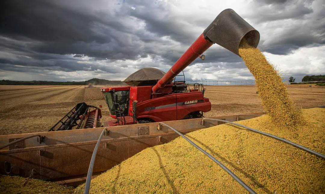 Cadeia da soja e do biodiesel representou 23,8% do PIB do agronegócio no ano passado