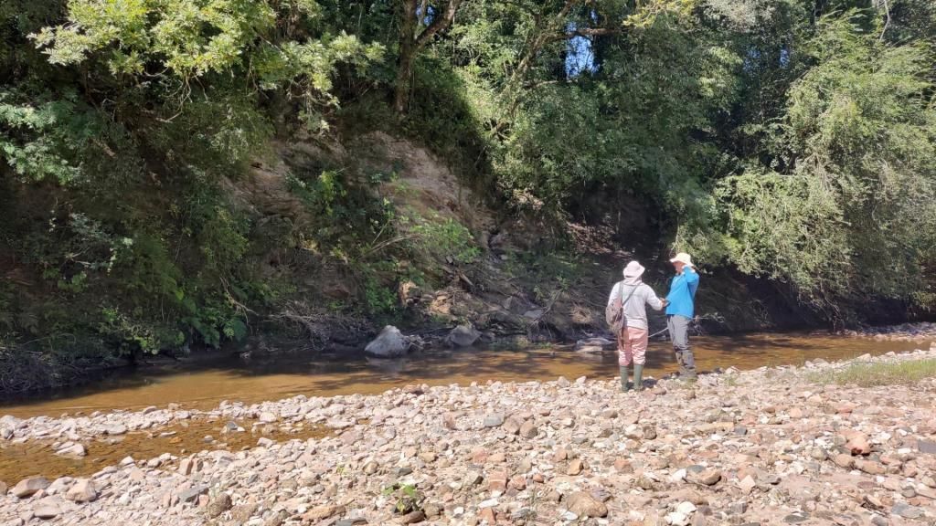 Pesquisadores identificam rochas ricas em terras raras em Caçapava do Sul
