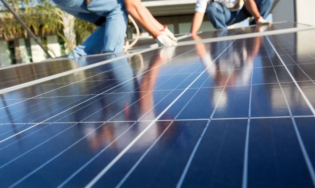 Eco Invest Brasil registra maior leilão do programa