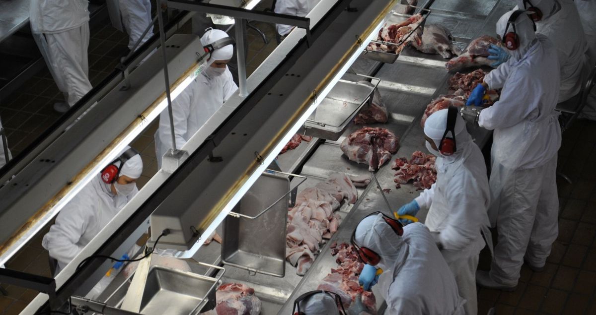 Compensa vender carne de porco para a China?
