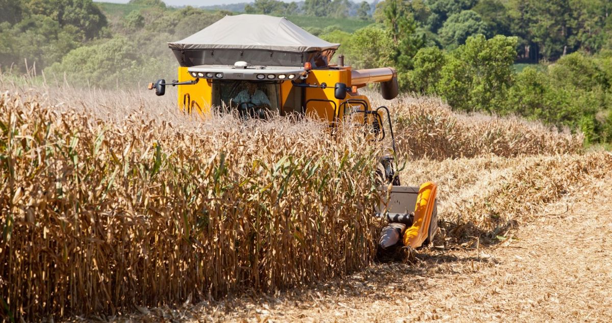 PIB do Rio Grande do Sul cresce 2% em 2019
