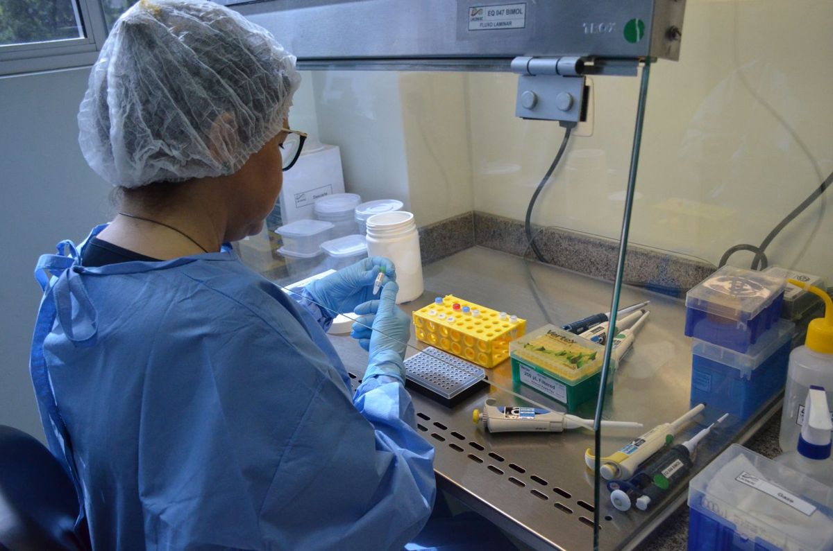 Mapeamento revela que um em cada quatro municípios catarinenses tem casos de Covid-19