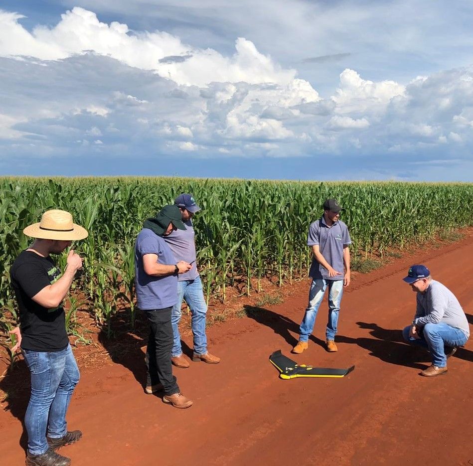 Startup paranaense alia produtividade e sustentabilidade no agronegócio