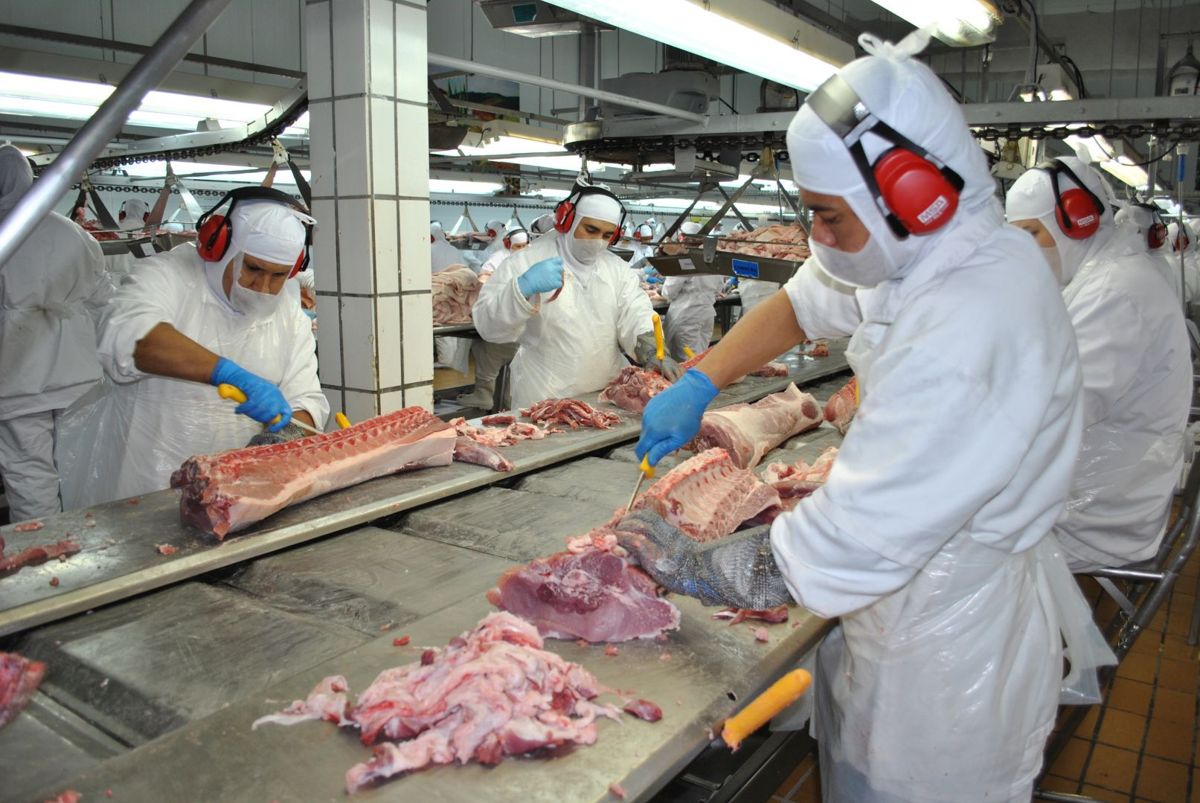 Cooperativas catarinenses faturaram R$ 40,7 bilhões em 2019