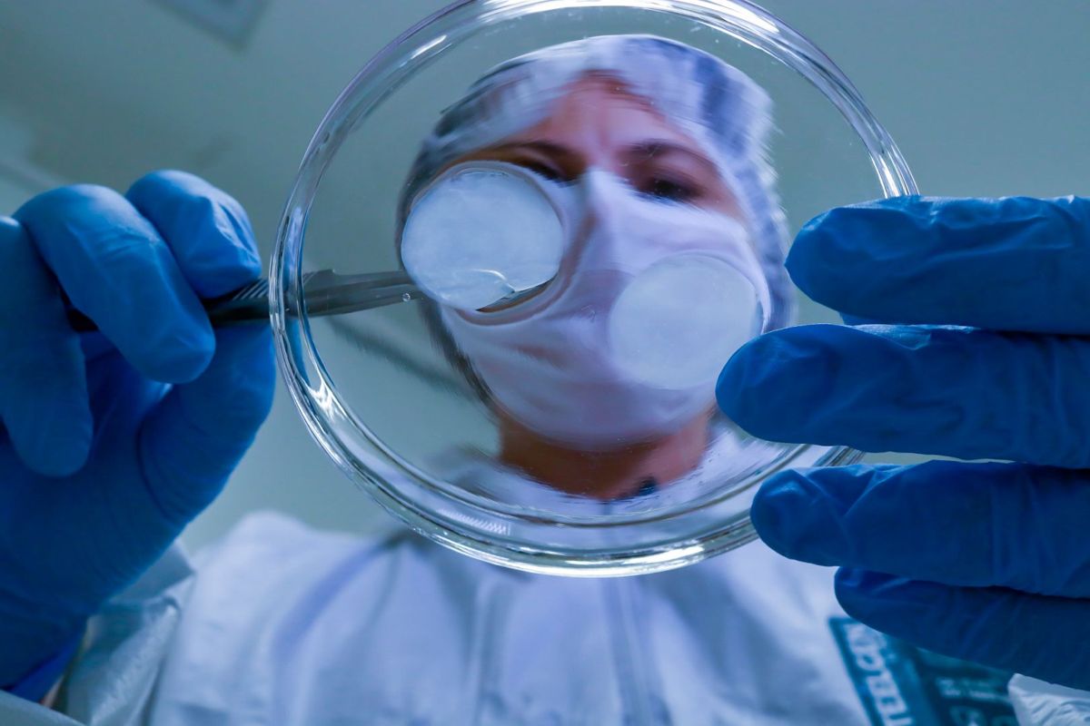 Startup catarinense vai produzir tecido pulmonar in vitro para testes de Covid-19