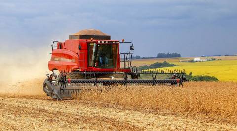 Sul amplia participação no PIB entre 2020 e 2021