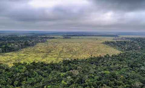 Estudo sugere fim do desmatamento legal para zerar gases estufa no país