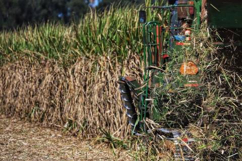 Tecnologia baseada em dados torna seguro agrícola mais inteligente e mais barato