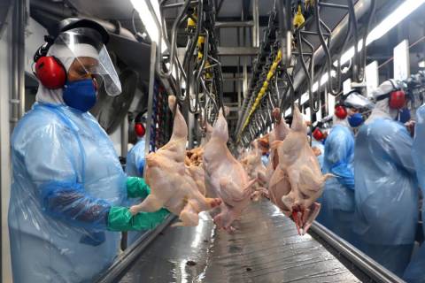 China encerra cobrança de sobretaxa no frango brasileiro