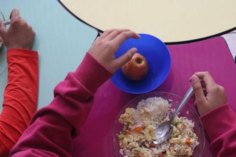 Sul apresenta melhor índice de segurança alimentar do país