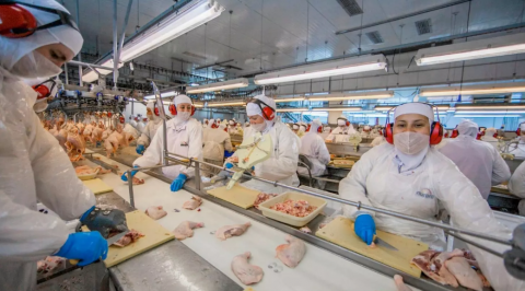 Cooperativas catarinenses faturaram R$ 85,9 bilhões no ano passado