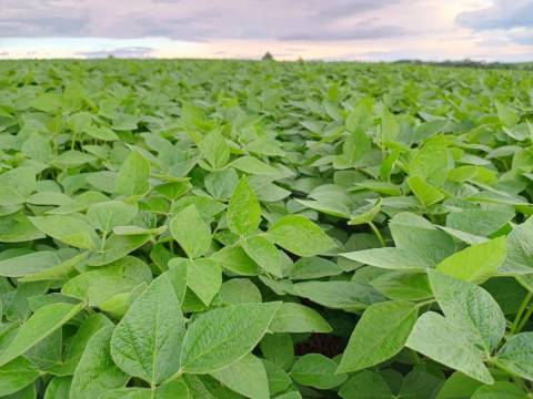 PIB gaúcho avança 4,1% no primeiro trimestre puxado pela agropecuária