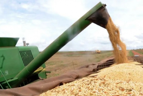Governo lança Plano Safra com R$ 400,5 bilhões para agricultura
