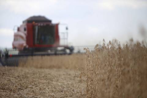 Estudo revela impacto negativo de mudanças climáticas na agricultura