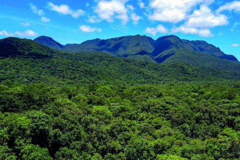 Corrida de obstáculos