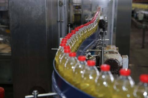 Faturamento das cooperativas do PR pode ser elevado em dez vezes em 15 anos