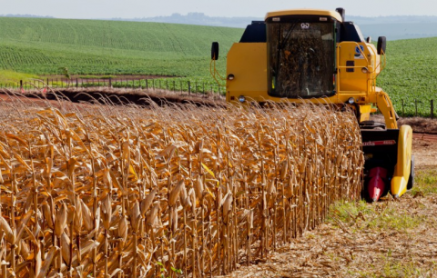 Rio Grande do Sul registra aumento de 4,9% no PIB em 2024