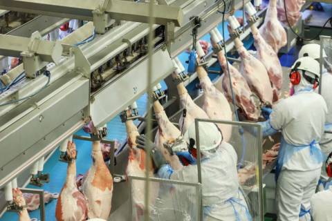 Chile passará a importar carne suína do Paraná