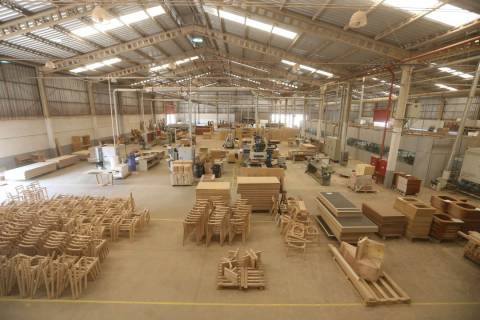 Não há "plano B" para o setor madeireiro paranaense, avalia Fiep