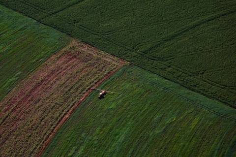 PIB do Paraná apresenta alta de 1,51% no terceiro trimestre