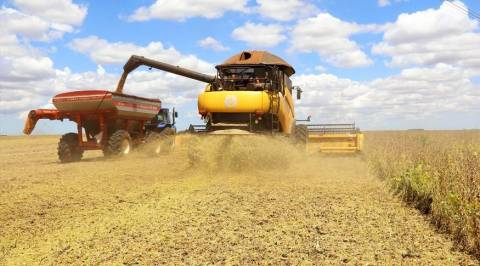 Produção da soja tem previsão de novo recorde
