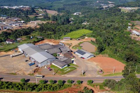 Paraná lança Rota Uva & Vinho para impulsionar vitivinicultura