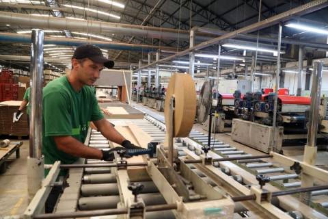 Sul inicia o ano criando mais de 55 mil empregos formais