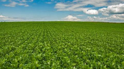 Atividade econômica apresenta alta de 0,8% em janeiro