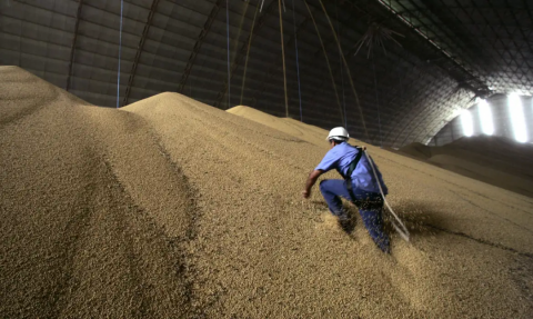 Estimativa da produção agrícola de março de 2026 é recorde da série histórica