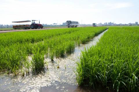 Alta do diesel deve gerar custo adicional de R$ 612 milhões nas lavouras gaúchas