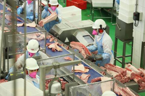 Brasil promete reverter veto da UE a carnes e animais