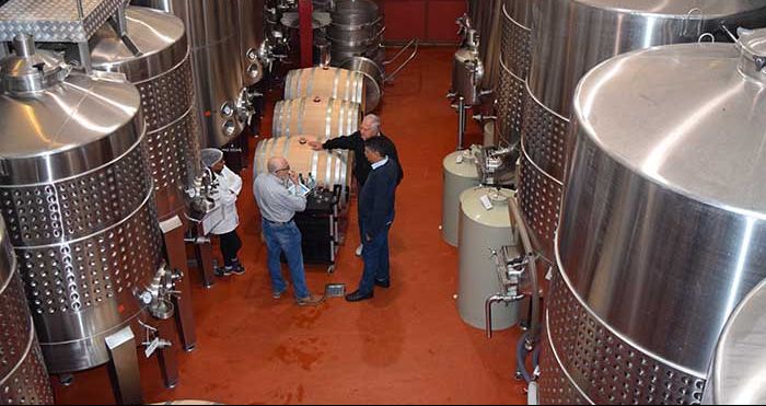 Conheça o primeiro vinho brasileiro com certificação de boas práticas em  todo o ciclo produtivo: é um Chardonnay da Vinícola Ravanello – In Vino  Viajas