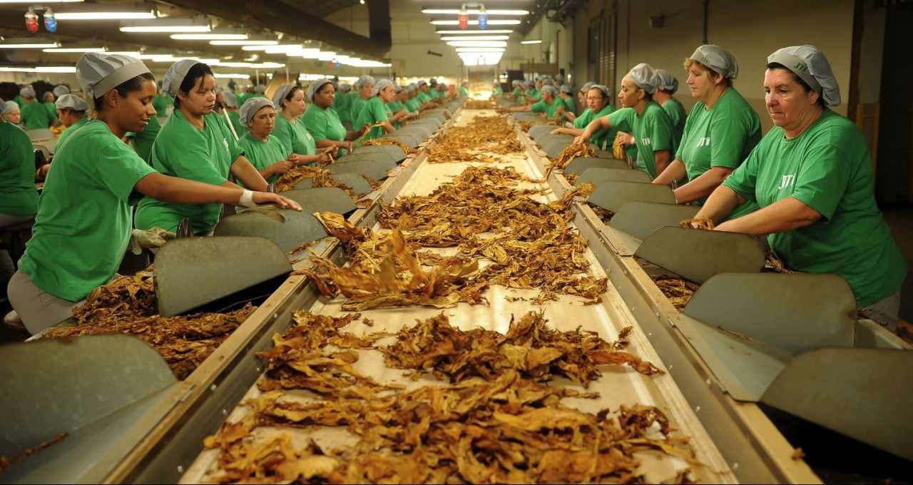 Brasil exporta mais de US$ 2 bi em tabaco no último ano