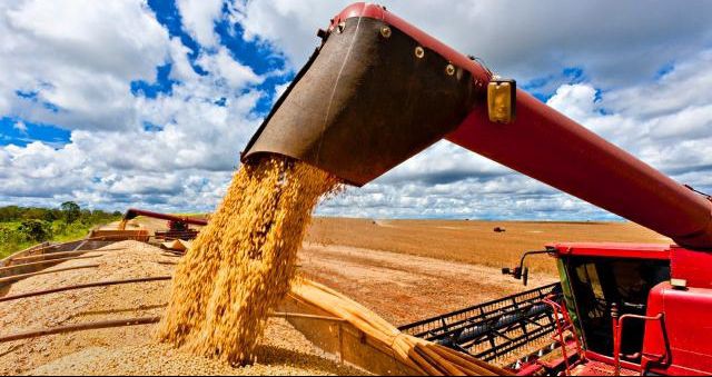 IBGE mantém projeção recorde para safra de grãos