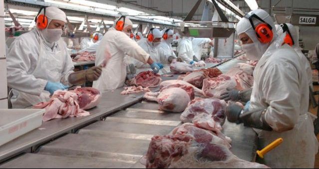 Coreia do Sul volta a importar carne suína catarinense