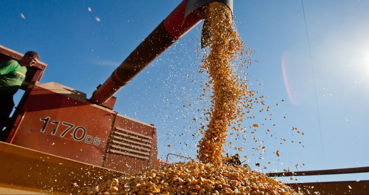 Conab: safra de grãos deve cair 3,9%