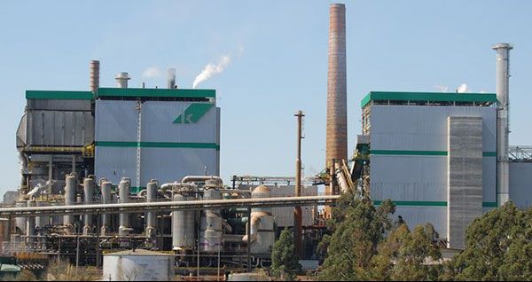 Klabin acumula lucro no segundo trimestre