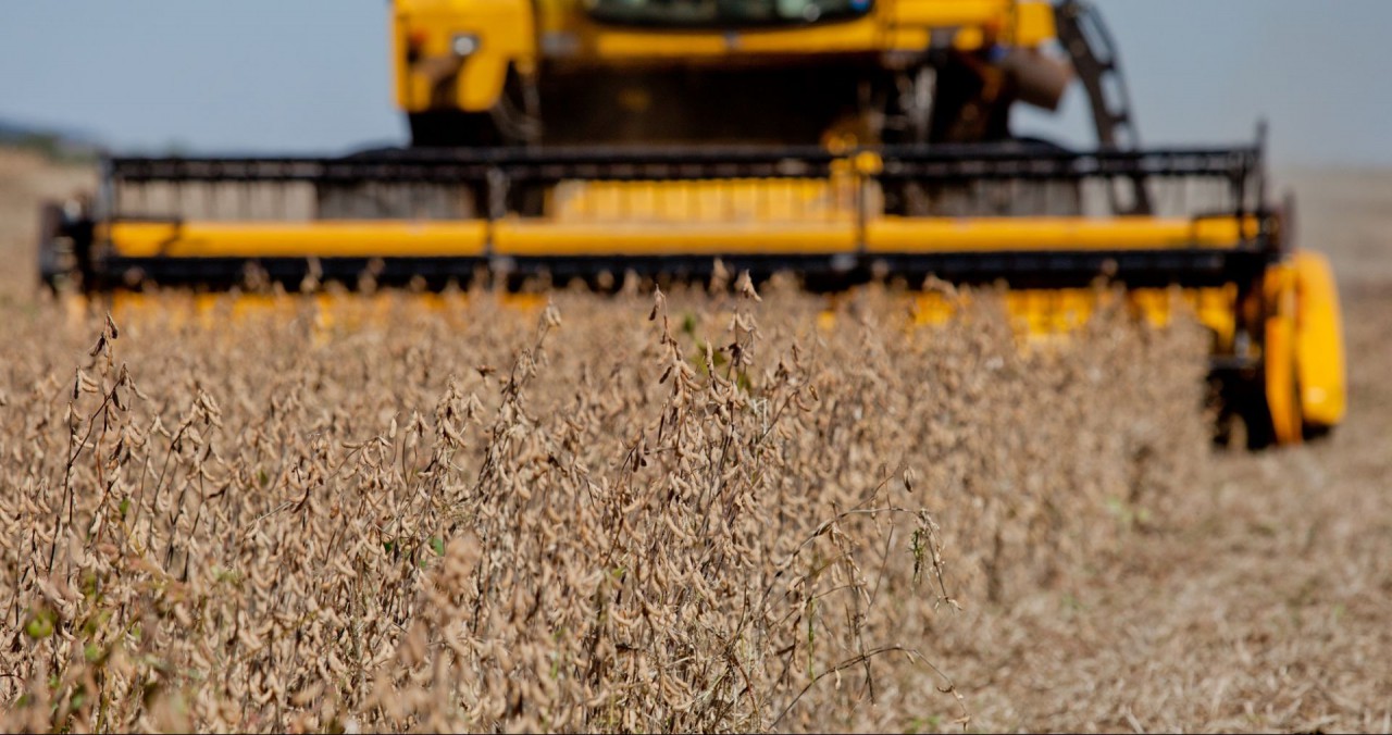 PIB do agronegócio deve fechar ano em queda