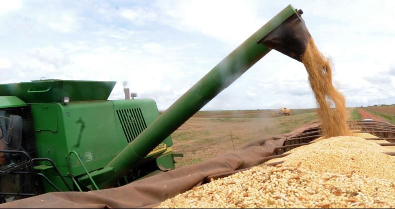 IBGE prevê queda de 9,2% na safra de grãos de 2018