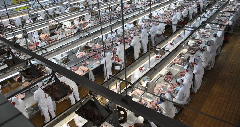 Cooperativa Aurora reduz atividades em duas plantas