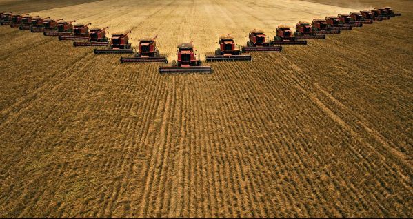 Safra de grãos de 2017 deve crescer 21,8%