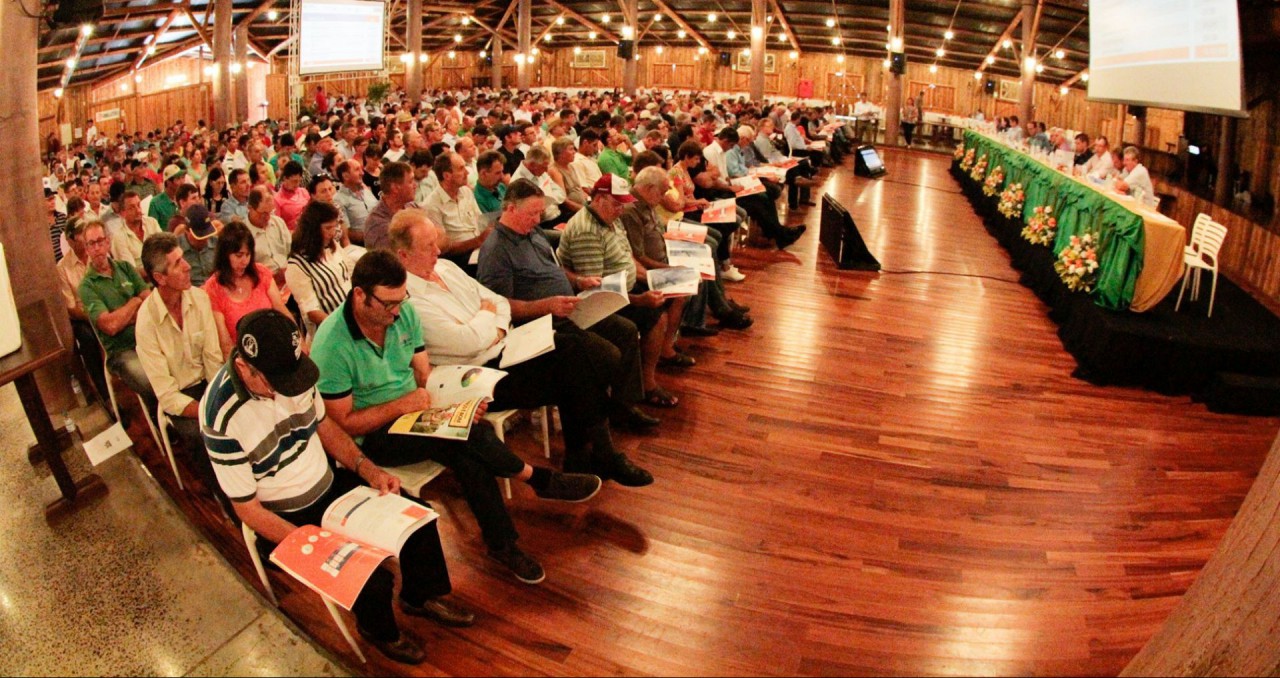 Cooperalfa fatura R$ 2,6 bilhões em 2016