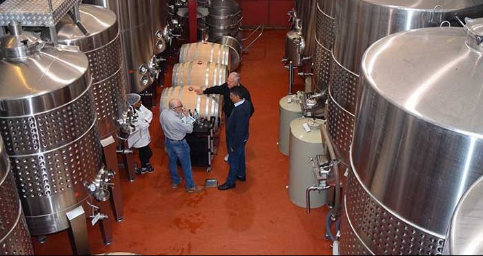 Primeira vinícola do país a ter selo de produção integrada é do Sul