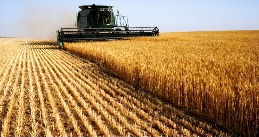 Produção agropecuária será de R$ 516 bilhões neste ano