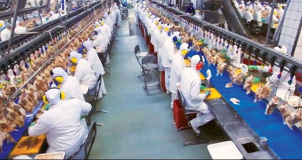 Executivos da BRF têm sigilo de dados quebrados